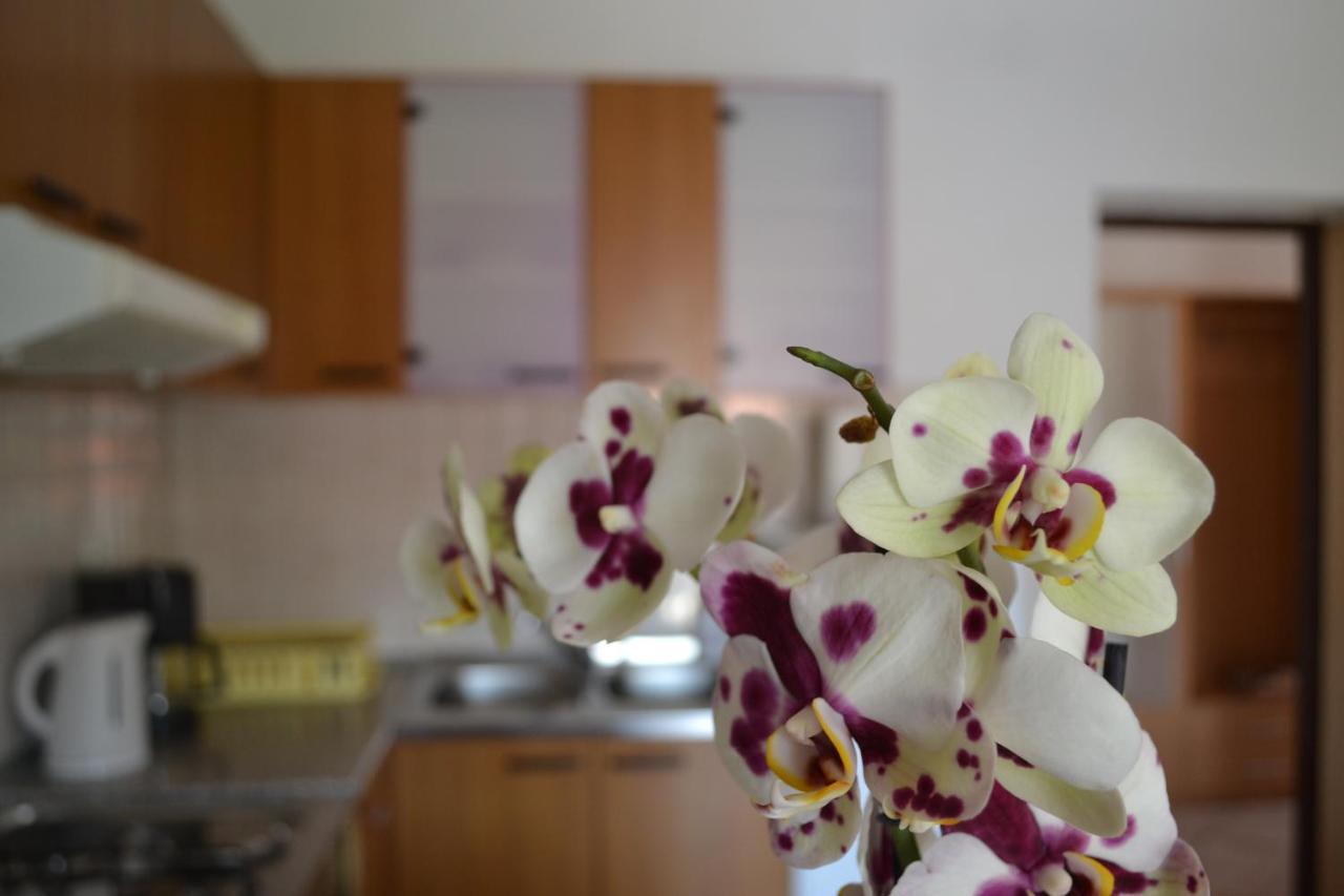 Appartement Lopar 386 Ruza I Josip Piculjan Extérieur photo